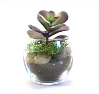 Faux Succulent Planters