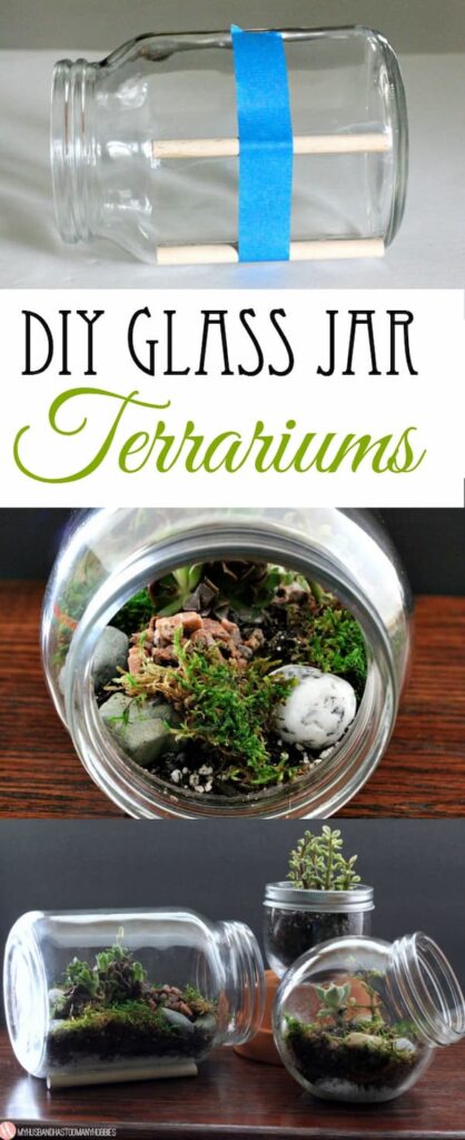 Glass Jar Terrariums 17